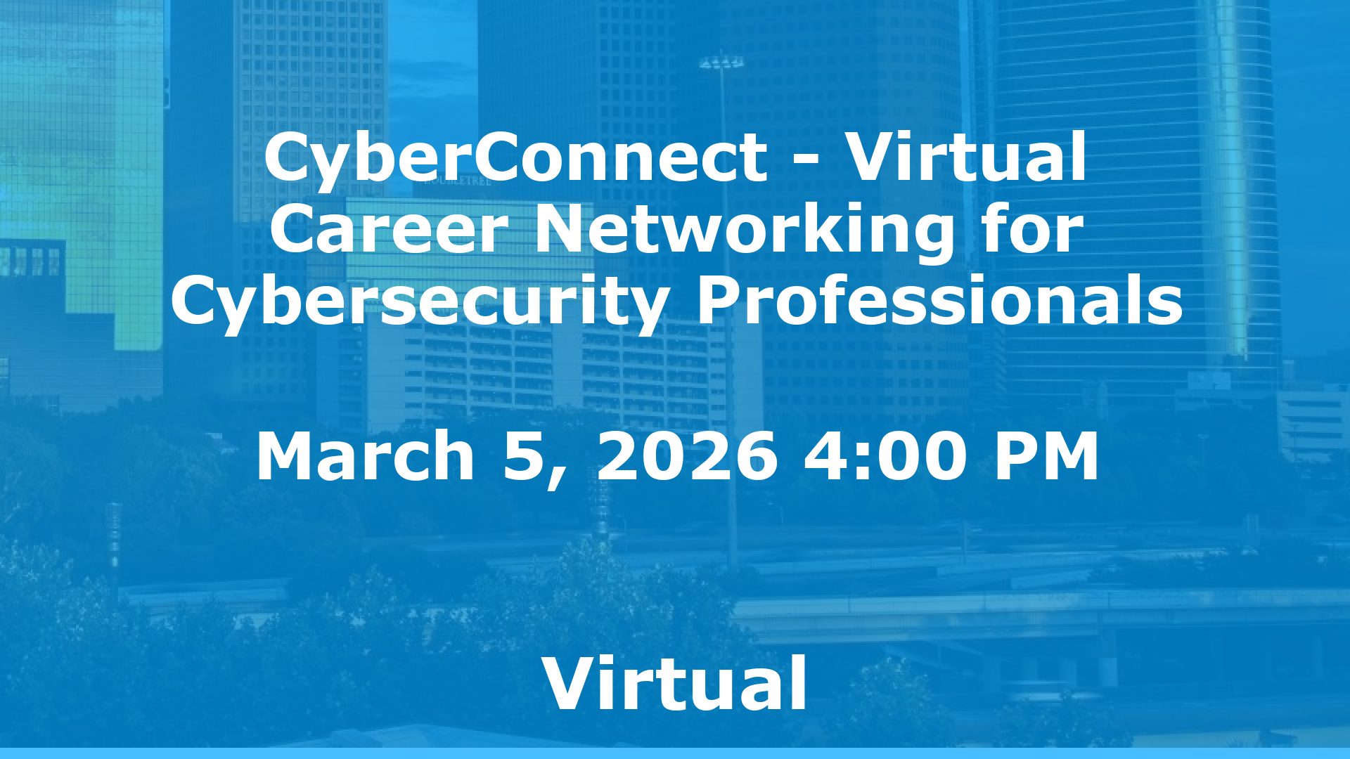 CyberConnect - Virtual Career Networking for Cybersecurity Professionals event image